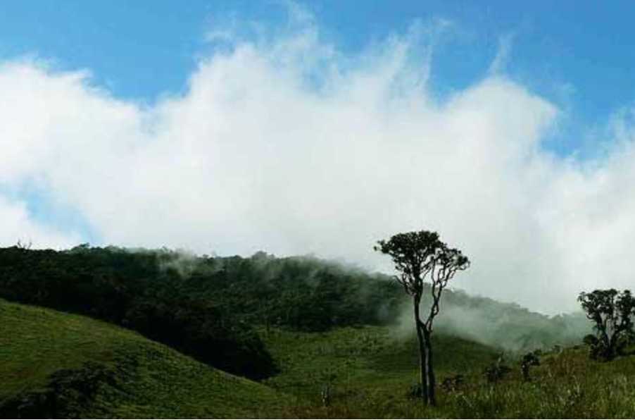 Dayagama  ⇌ Horton Plains